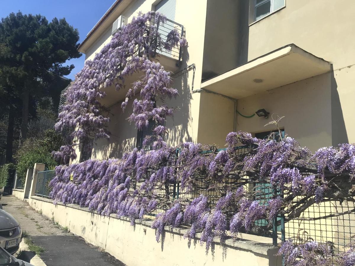 B&B Il Glicine Pescara Centro Exterior foto